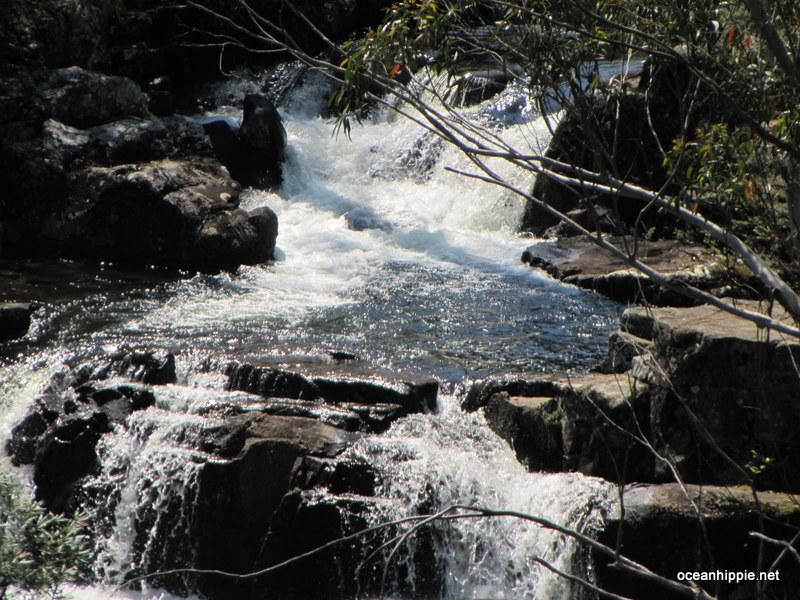 Thumbnail Photo